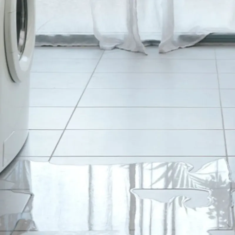 Appliance Leak Cleanup in Sherwood Shores, TX