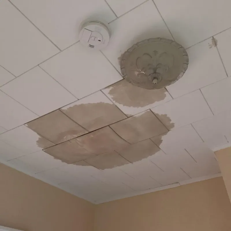 Ceiling Water Damage Repair in Sherwood Shores, TX