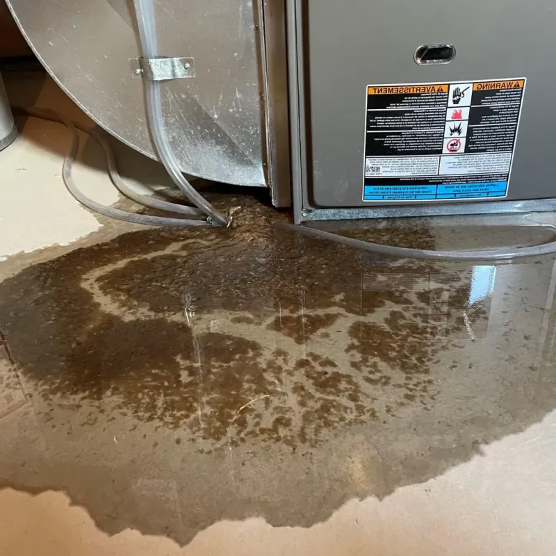 Pipe Burst and Leak Restoration in Sherwood Shores, TX