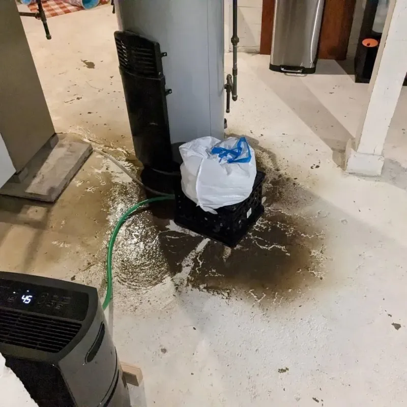 Sewage Backup Cleanup Service in Sherwood Shores, TX
